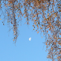 Jesienny Księżyc W
