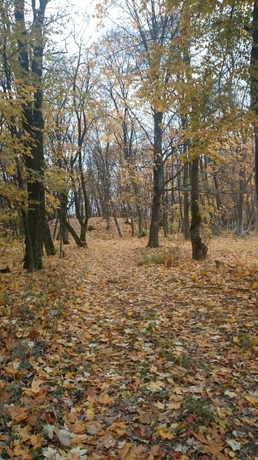 jesienny spacer 