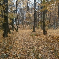 jesienny spacer 