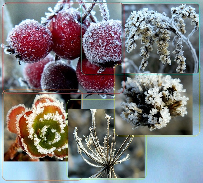 Zima pomaga w dekoracji;)
