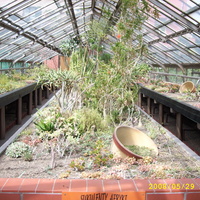 ogród botaniczny