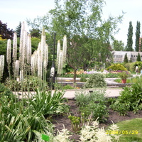 ogród botaniczny 