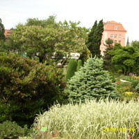 ogród botaniczny