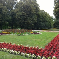 Zdjęcie z parku w Zamościu