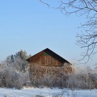 Zima W Ogrodach.