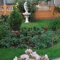 Rzeźba w ogrodzie...