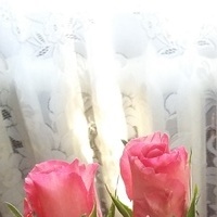 Walentynkowe Róże 