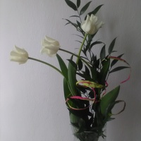 Wesołe tulipanki:)