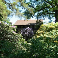 W Parku Rododendronów - Kromlau