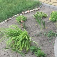 Początki mojego ogródka 
