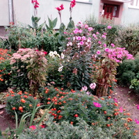 Ogródek Pod Blokiem