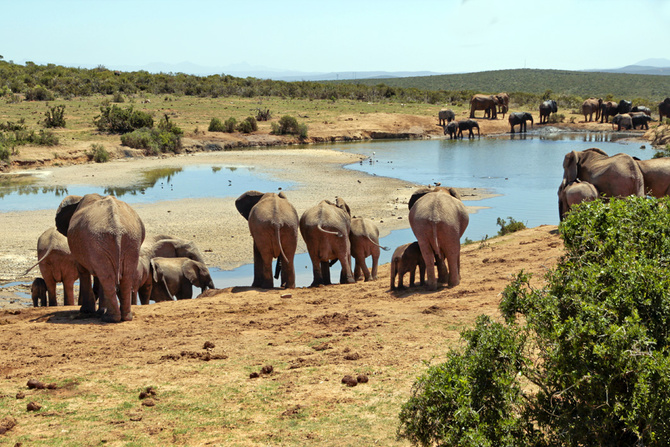 Park Krugera RPA