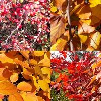 Barwy jesieni;-)