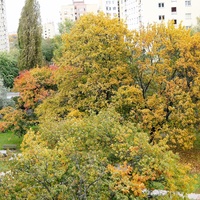 Jesień idzie przez park 