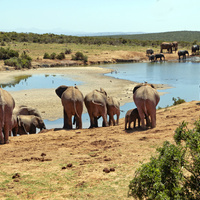 Park Krugera RPA
