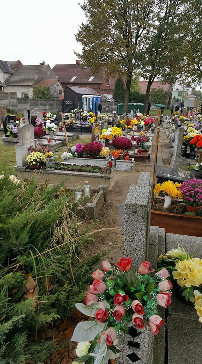 Dużo kwiatów na grobach