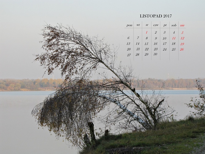 kartka z kalendarza - listopad