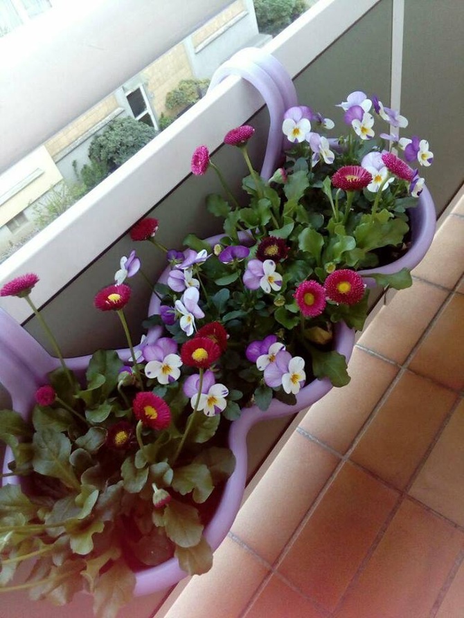 Kwiaty Cioci Małgosi...