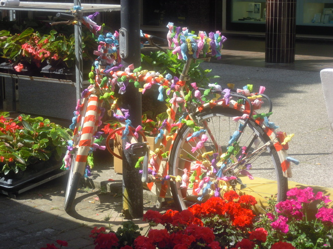 kolorowy rower.