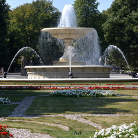 Kwiaty przed prawdziwą fontanną w parku
