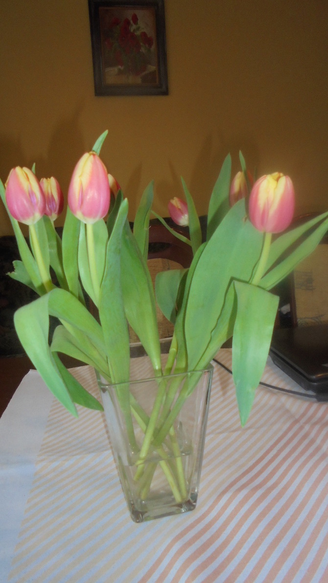Tulipany-oczywiscie z B...........