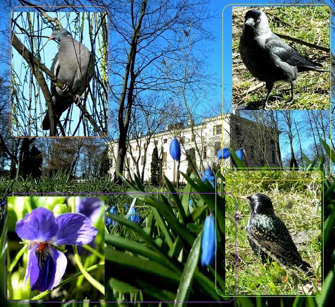 Wiosną w parku:)