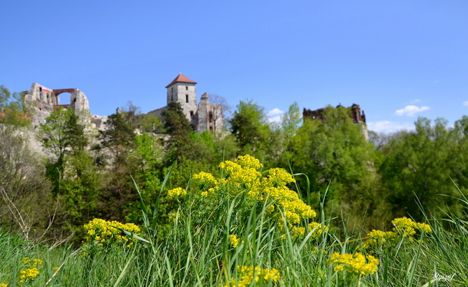 ruiny zamku Tenczyn, Jura