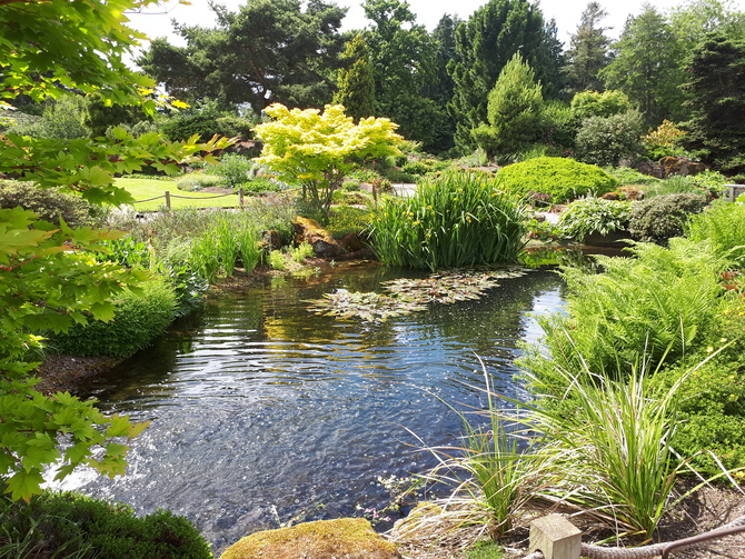 Ogród botaniczny w Edynburgu