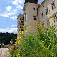 Zamek Pieskowa Skał