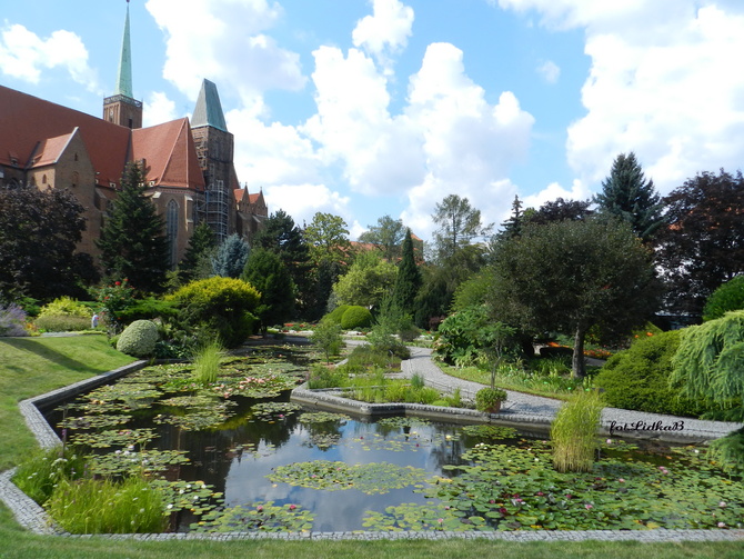 Niezwykłe miejsce we Wrocławiu-Ogród Botaniczny 