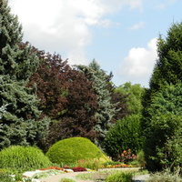Ogród Botaniczny we Wrocławiu