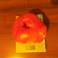 Pomidorek dla Teni :)