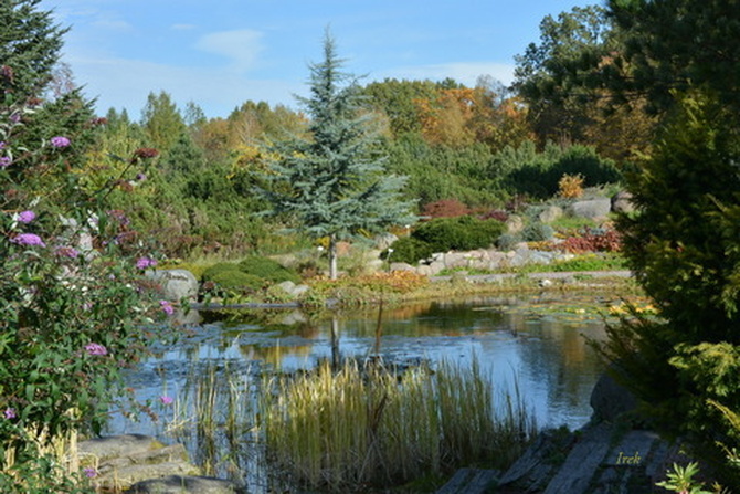 Jesień w Ogrodzie Botanicznym w Powsinie.