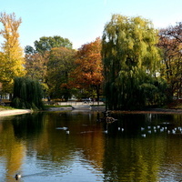 Jesień w parku w moim mieście.