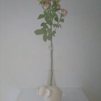 Róża i słonik na szczęście :):):)