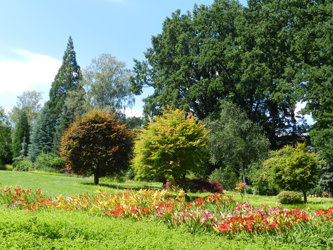 Arboretum w Wojsławicach