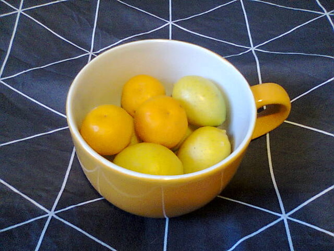 Cytryny i kalamondyny prosto z krzaka ;)