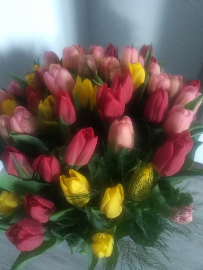 Urodzinowe tulipnki