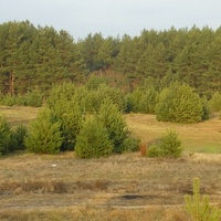 Jesienna polana na Mazowszu.