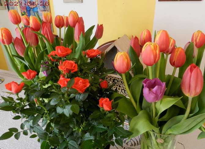 Tulipany i róże 