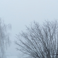 Poranne mgły