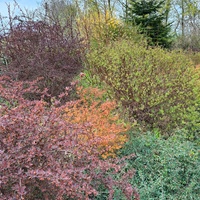 Subtelne kolory wiosny :)