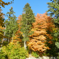 Kolorowa jesień w górach