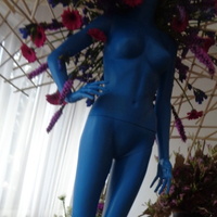 Kwiaty i niebieska dama