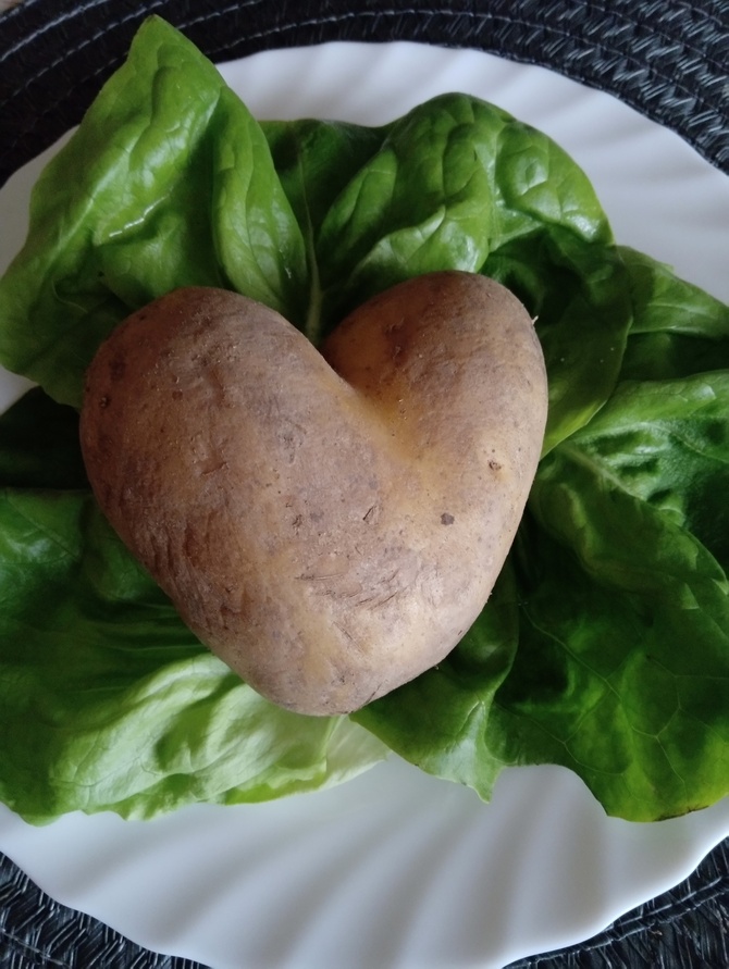 Serce ❤️ ziemniak, pyra czy kartofel?