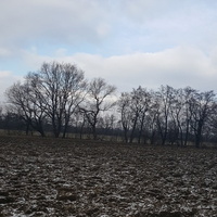 Zimowy Krajobraz...