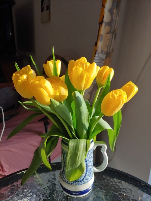 Tulipany w bukiecie
