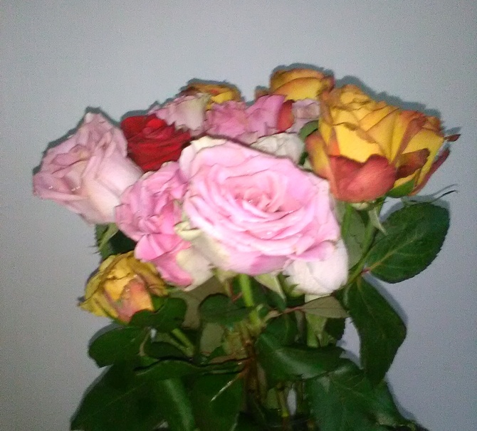 Róże na dobranoc dla niezapomnianej Kory