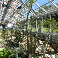Nowe szklarnie w Ogrodzie Botanicznym