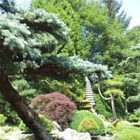 Ogród Japoński.
